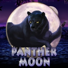 Panther Moon