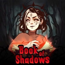 Le livre des ombres