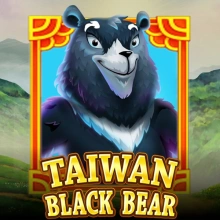 Taiwan Musta karhu