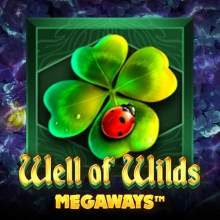 Puits des Wilds MegaWays