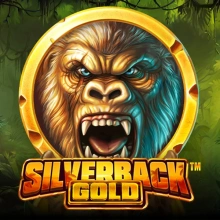 Ouro Silverback