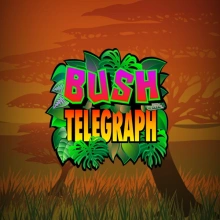 Bush Telegraph