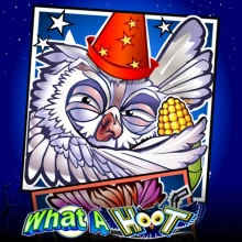 What a Hoot