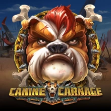 Carnage canin