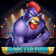 Furia del gallo