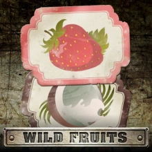 Frutti selvatici